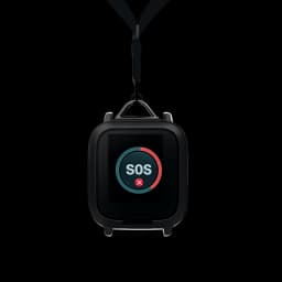 Mobile Alarm