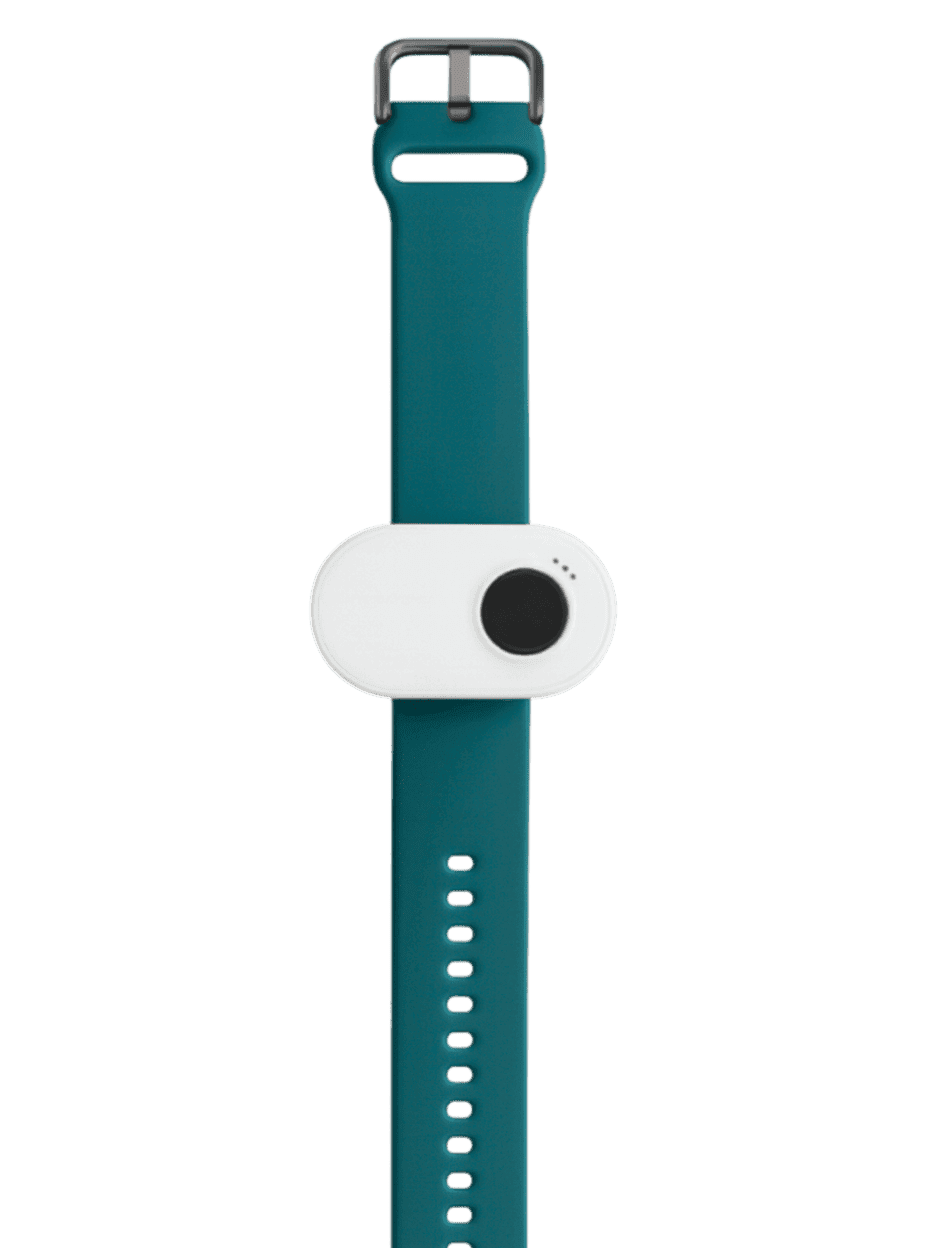 Home Alarm worn on the wrist